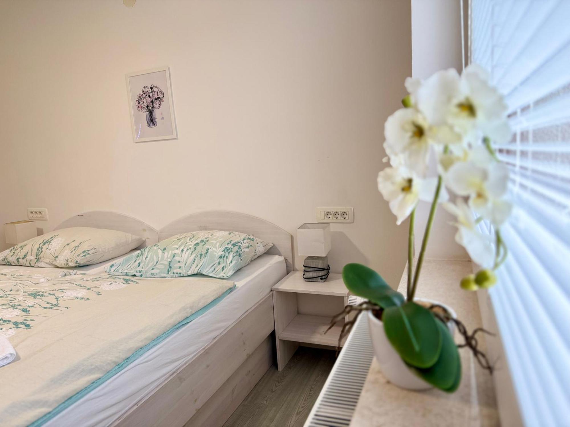 Guest house Kobal Spodnje Gorje Extérieur photo